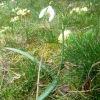 Dem Frühling auf der Spur