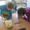 Experimente mit Wasser