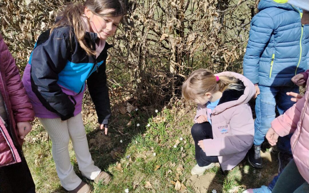Wir suchen den Frühling