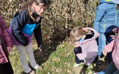 Wir suchen den Frühling