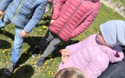 Wir entdecken den Frühling