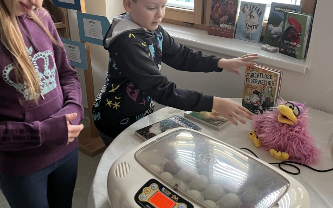 Entwicklung vom Ei zum Küken